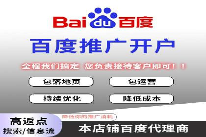 网络推广策略：竞价广告的实践案例